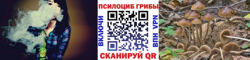 Галлюциногенные грибы ЛСД  что такое   KRAKEN ONION  Сафоново 